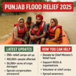 Punjab Flood Relief 2025