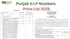 vip number price list 2026 punjab